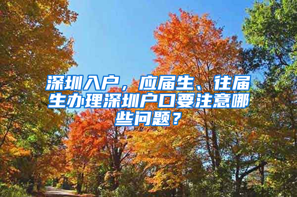 深圳入戶，應(yīng)屆生、往屆生辦理深圳戶口要注意哪些問題？