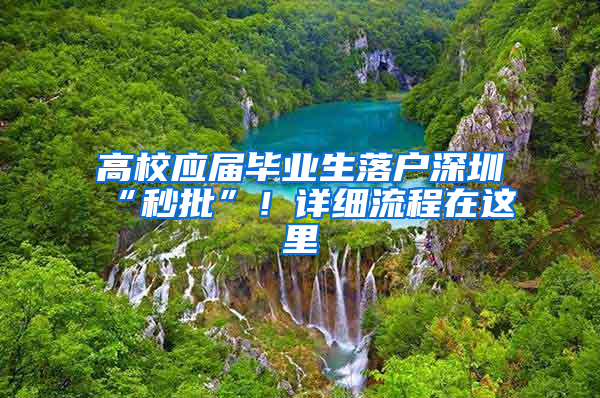 高校應(yīng)屆畢業(yè)生落戶深圳“秒批”！詳細(xì)流程在這里