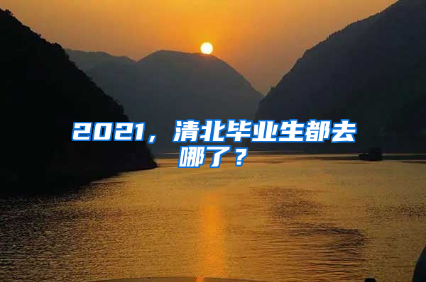 2021，清北畢業(yè)生都去哪了？