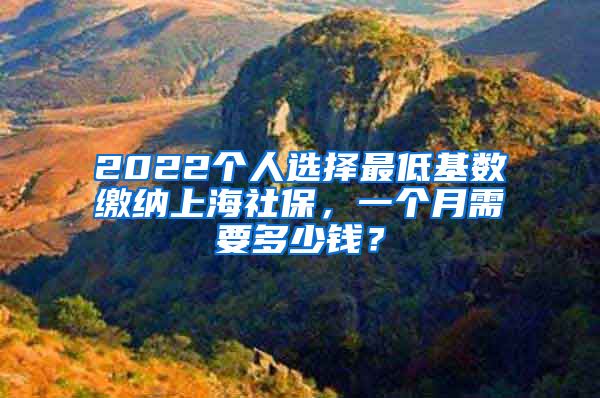 2022個人選擇最低基數(shù)繳納上海社保，一個月需要多少錢？