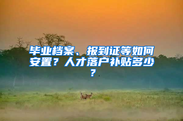 畢業(yè)檔案、報到證等如何安置？人才落戶補(bǔ)貼多少？