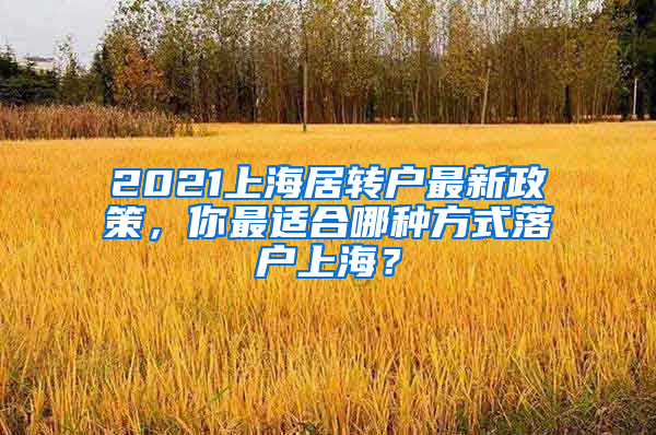 2021上海居轉(zhuǎn)戶最新政策，你最適合哪種方式落戶上海？