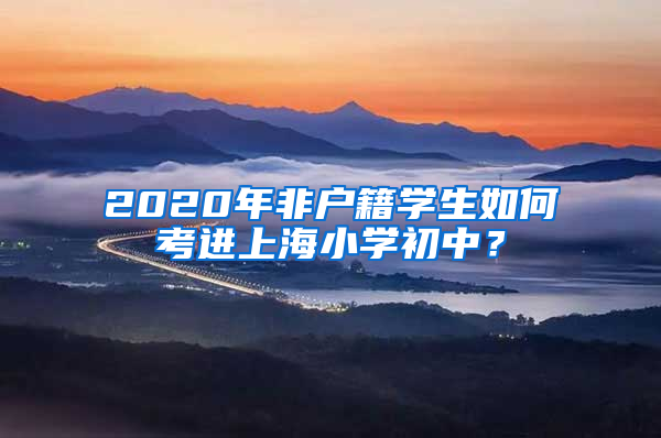 2020年非戶籍學(xué)生如何考進(jìn)上海小學(xué)初中？