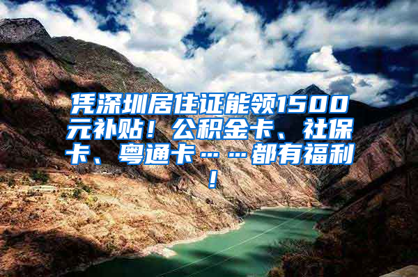 憑深圳居住證能領1500元補貼！公積金卡、社保卡、粵通卡……都有福利！