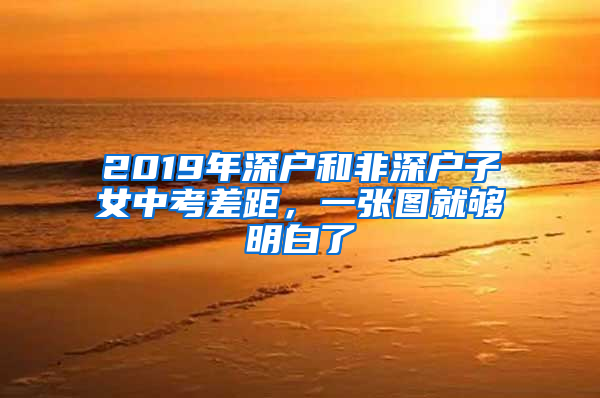 2019年深戶(hù)和非深戶(hù)子女中考差距，一張圖就夠明白了