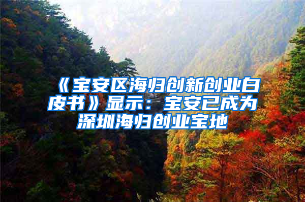 《寶安區(qū)海歸創(chuàng)新創(chuàng)業(yè)白皮書(shū)》顯示：寶安已成為深圳海歸創(chuàng)業(yè)寶地