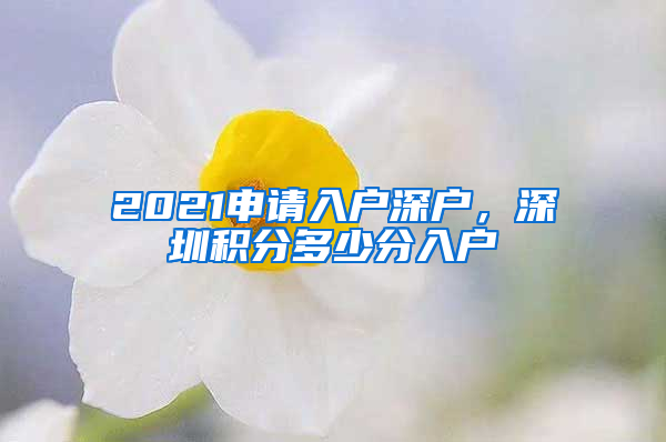 2021申請入戶深戶，深圳積分多少分入戶