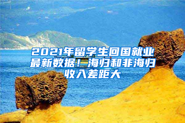 2021年留學(xué)生回國(guó)就業(yè)最新數(shù)據(jù)！海歸和非海歸收入差距大