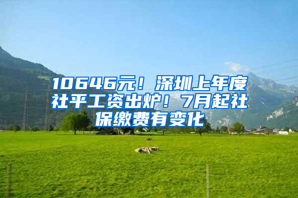 10646元！深圳上年度社平工資出爐！7月起社保繳費有變化