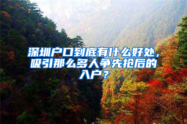 深圳戶口到底有什么好處，吸引那么多人爭先搶后的入戶？