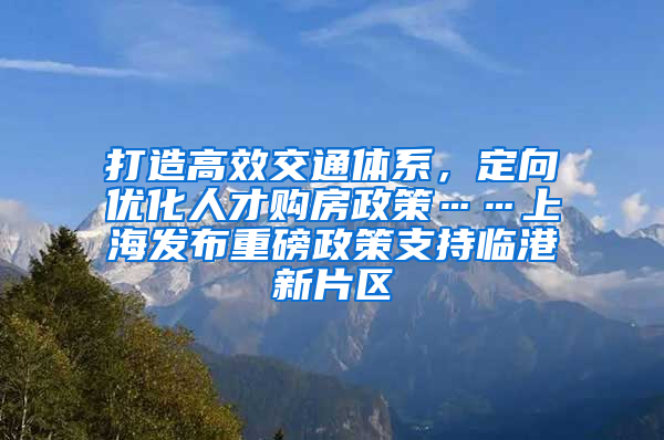 打造高效交通體系，定向優(yōu)化人才購(gòu)房政策……上海發(fā)布重磅政策支持臨港新片區(qū)