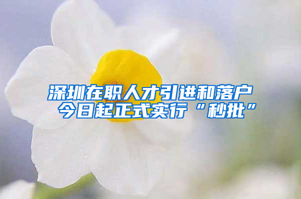 深圳在職人才引進和落戶 今日起正式實行“秒批”