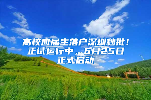 高校應(yīng)屆生落戶深圳秒批！正試運行中，6月25日正式啟動