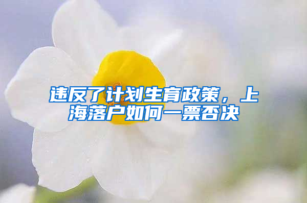 違反了計劃生育政策，上海落戶如何一票否決