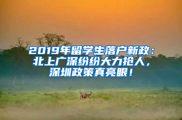 2019年留學(xué)生落戶新政：北上廣深紛紛大力搶人，深圳政策真亮眼！