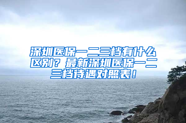 深圳醫(yī)保一二三檔有什么區(qū)別？最新深圳醫(yī)保一二三檔待遇對照表！