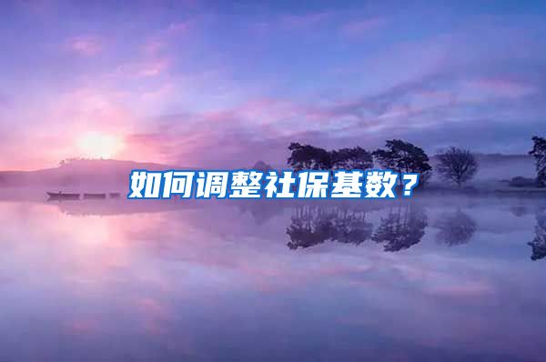 如何調(diào)整社?；鶖?shù)？