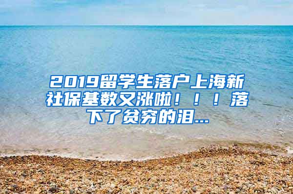 2019留學(xué)生落戶(hù)上海新社保基數(shù)又漲啦?。?！落下了貧窮的淚...