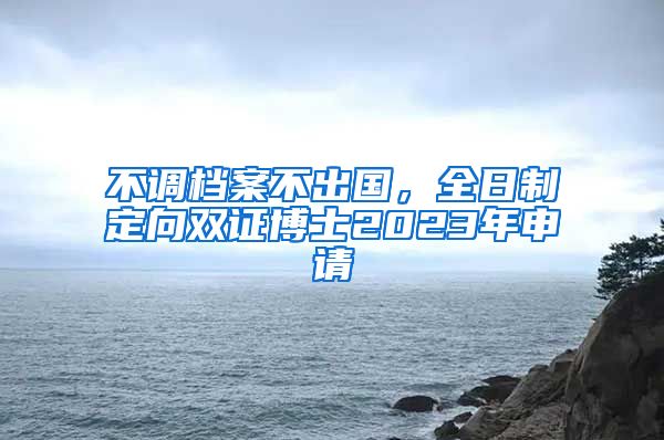 不調(diào)檔案不出國，全日制定向雙證博士2023年申請