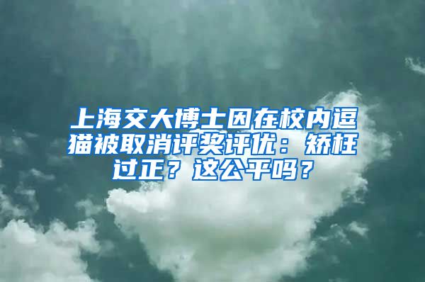 上海交大博士因在校內(nèi)逗貓被取消評獎評優(yōu)：矯枉過正？這公平嗎？