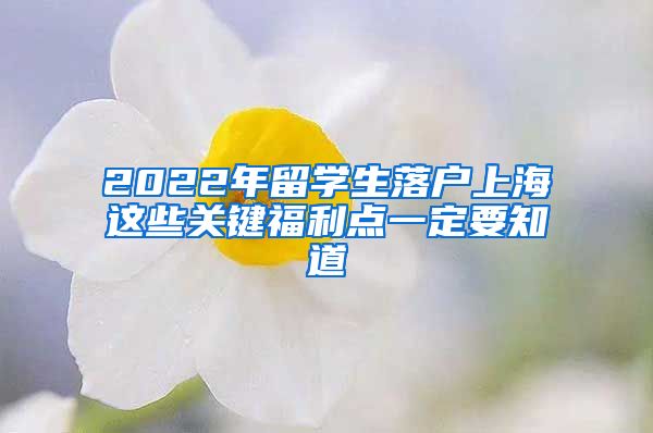 2022年留學(xué)生落戶上海這些關(guān)鍵福利點(diǎn)一定要知道