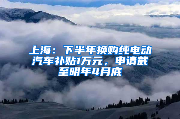 上海：下半年換購純電動汽車補貼1萬元，申請截至明年4月底