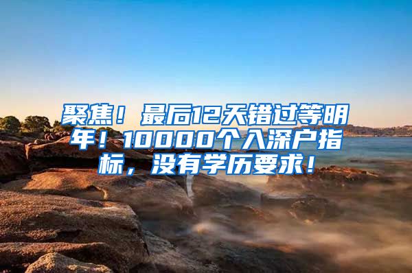 聚焦！最后12天錯過等明年！10000個入深戶指標(biāo)，沒有學(xué)歷要求！