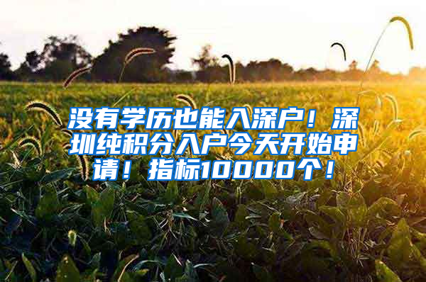 沒有學歷也能入深戶！深圳純積分入戶今天開始申請！指標10000個！