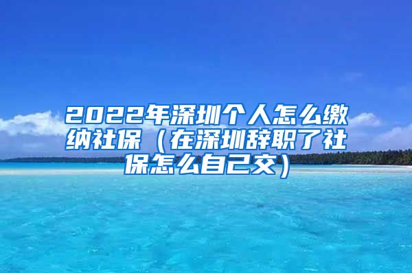 2022年深圳個(gè)人怎么繳納社保（在深圳辭職了社保怎么自己交）