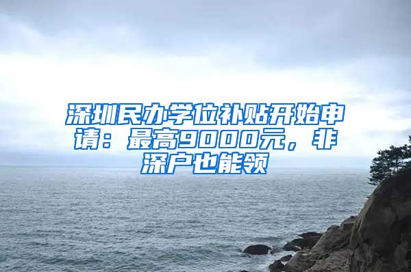 深圳民辦學位補貼開始申請：最高9000元，非深戶也能領