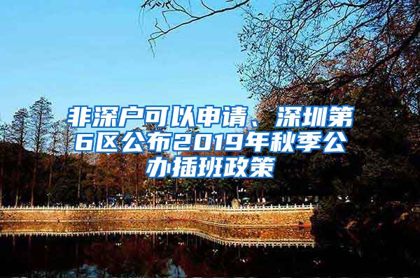 非深戶可以申請(qǐng)、深圳第6區(qū)公布2019年秋季公辦插班政策