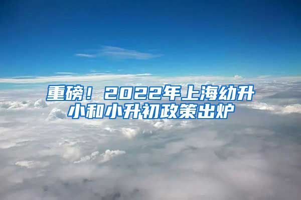 重磅！2022年上海幼升小和小升初政策出爐