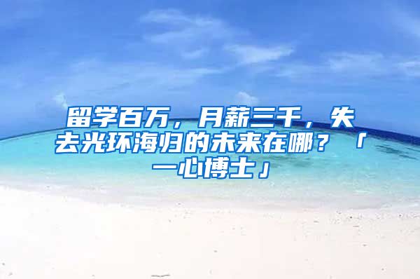 留學(xué)百萬，月薪三千，失去光環(huán)海歸的未來在哪？「一心博士」