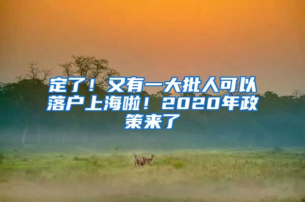 定了！又有一大批人可以落戶上海啦！2020年政策來(lái)了