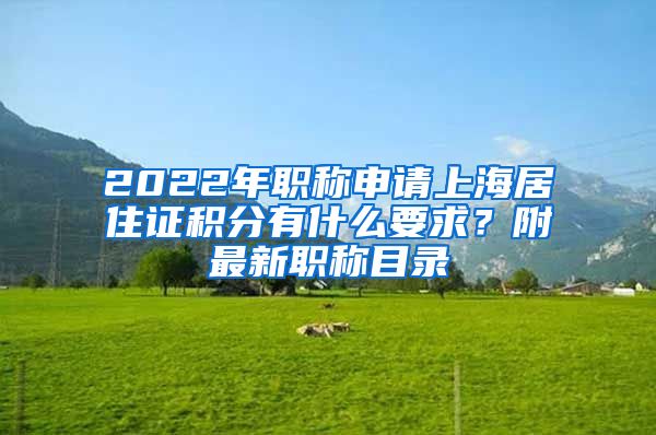 2022年職稱申請(qǐng)上海居住證積分有什么要求？附最新職稱目錄