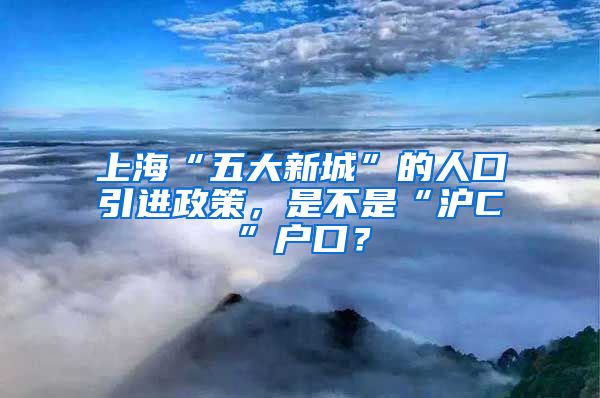 上?！拔宕笮鲁恰钡娜丝谝M(jìn)政策，是不是“滬C”戶(hù)口？