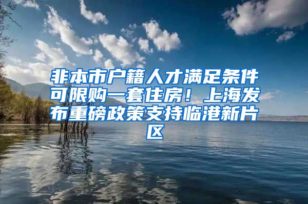 非本市戶籍人才滿足條件可限購一套住房！上海發(fā)布重磅政策支持臨港新片區(qū)