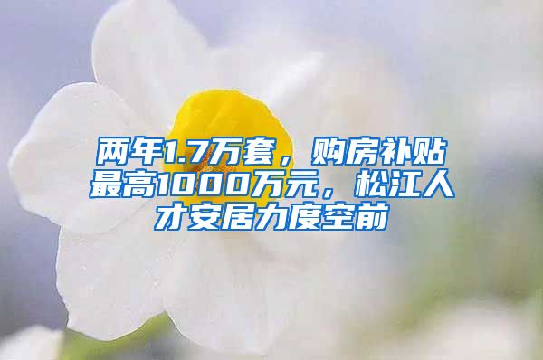 兩年1.7萬套，購房補貼最高1000萬元，松江人才安居力度空前