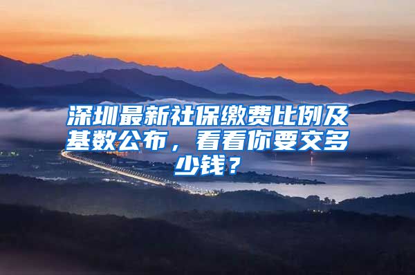 深圳最新社保繳費比例及基數(shù)公布，看看你要交多少錢？