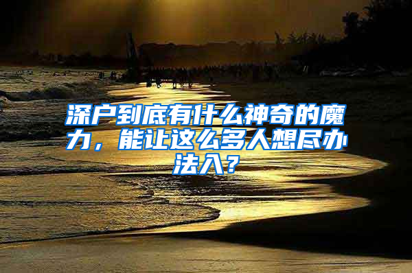 深戶到底有什么神奇的魔力，能讓這么多人想盡辦法入？