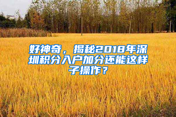 好神奇，揭秘2018年深圳積分入戶加分還能這樣子操作？