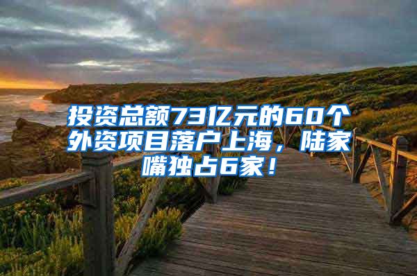 投資總額73億元的60個外資項目落戶上海，陸家嘴獨占6家！