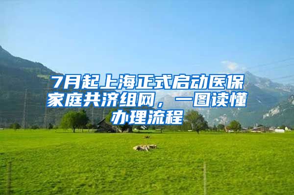 7月起上海正式啟動(dòng)醫(yī)保家庭共濟(jì)組網(wǎng)，一圖讀懂辦理流程