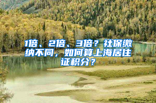 1倍、2倍、3倍？社保繳納不同，如何算上海居住證積分？