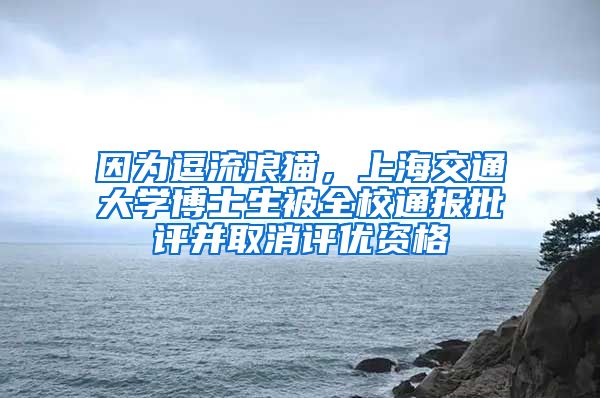 因為逗流浪貓，上海交通大學(xué)博士生被全校通報批評并取消評優(yōu)資格