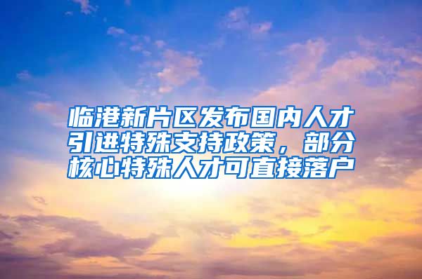 臨港新片區(qū)發(fā)布國內(nèi)人才引進(jìn)特殊支持政策，部分核心特殊人才可直接落戶