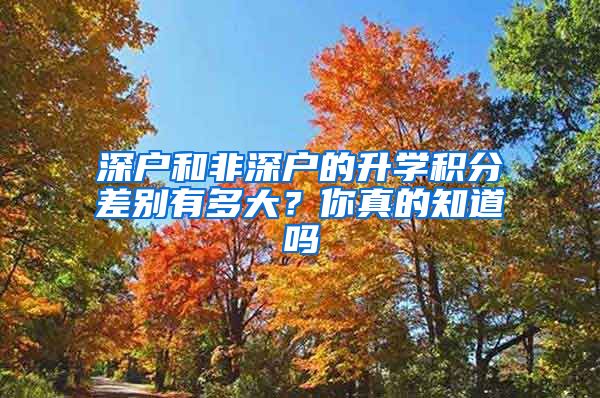 深戶和非深戶的升學(xué)積分差別有多大？你真的知道嗎