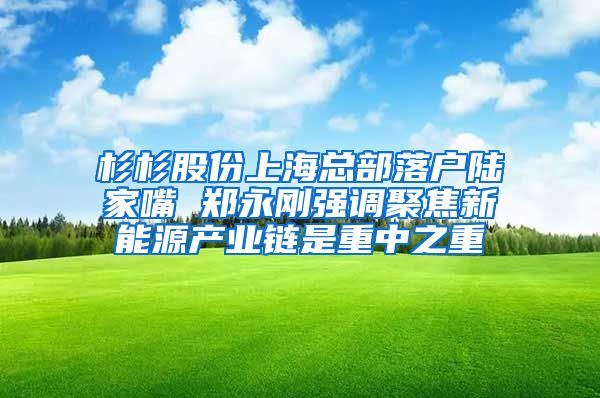 杉杉股份上?？偛柯鋺絷懠易?鄭永剛強調聚焦新能源產業(yè)鏈是重中之重