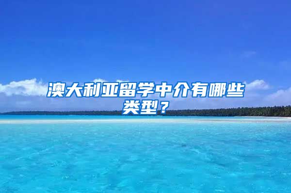 澳大利亞留學(xué)中介有哪些類型？