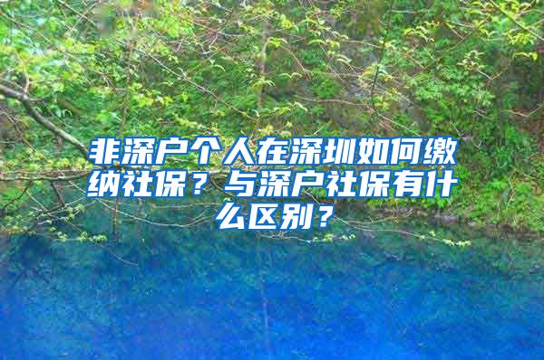 非深戶個(gè)人在深圳如何繳納社保？與深戶社保有什么區(qū)別？